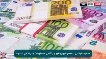 صعود قياسي.. سعر اليورو اليوم يتخطى مستويات جديدة في البنوك